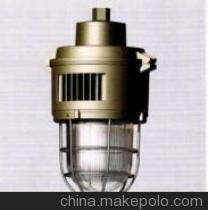 【供應其他SBF-6003防水防塵防腐燈】價格,廠家,圖片,防爆燈,洪冠防爆電器-